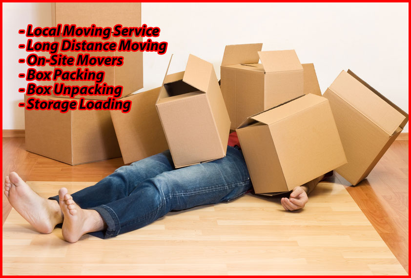 Packers And Movers Noida Sector 157